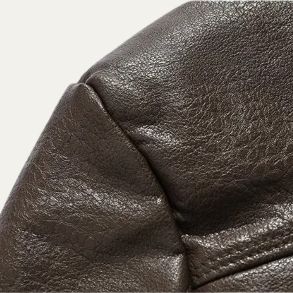 The Bressanone Men’s Retro Fleece Lined Leather Winter Coat